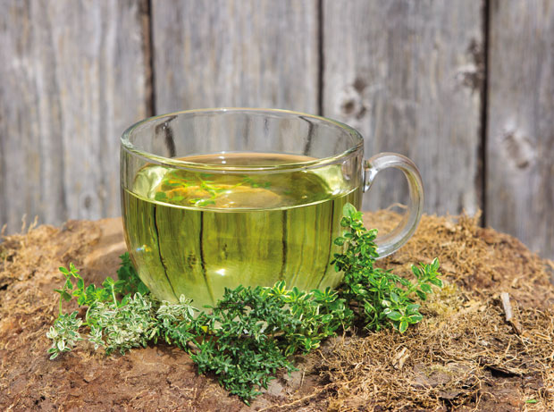 Тимијан против кашља и болних зглобова